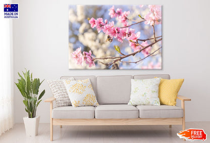 Pink Cherry Flowers Branch View Photograph Print 100% Australian Made