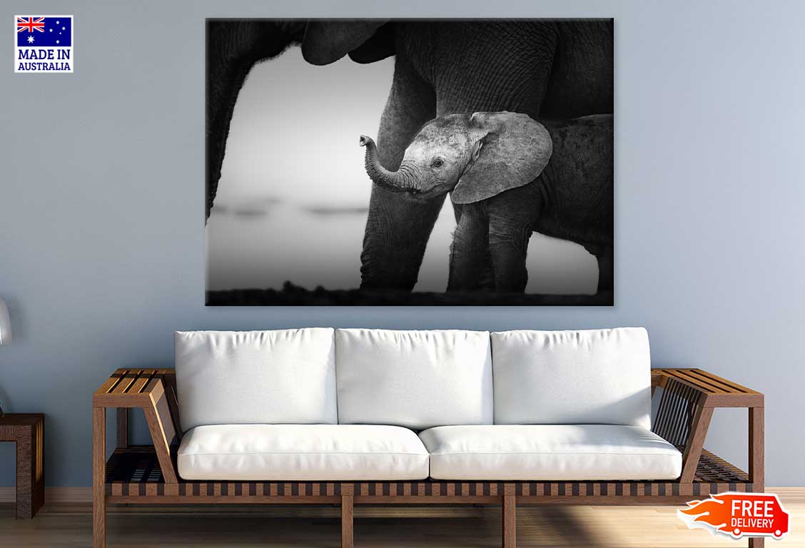 Baby Elephant Closeup B&W Photograph Print 100% Australian Made