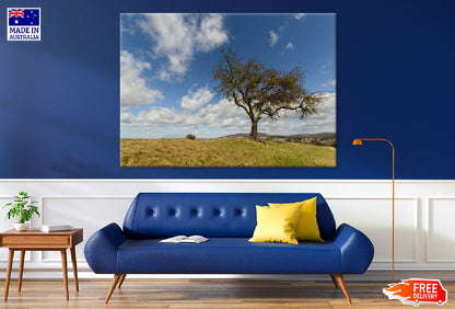 Lonely Tree in Middle Field Sky Photograph Print 100% Australian Made