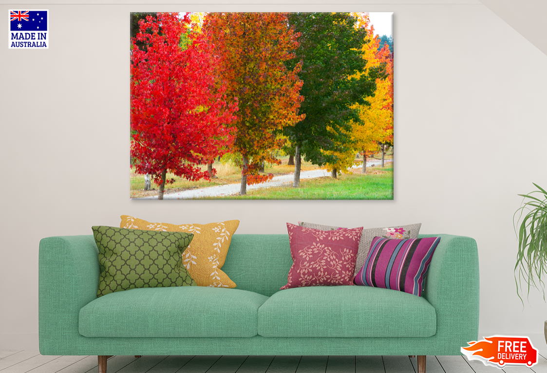 Colorful Autumn Trees Closeup Photograph Print 100% Australian Made