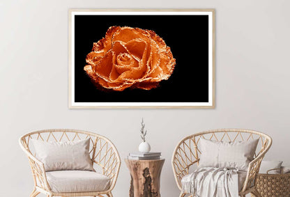 Water on Orange Rose Closeup View Photograph Home Decor Premium Quality Poster Print Choose Your Sizes