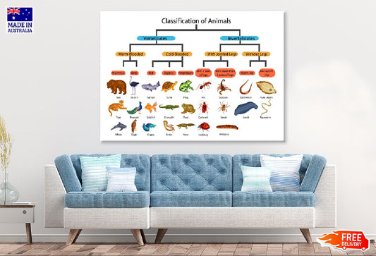 Chart of Biology Animals Diagram Vector Art Print 100% Australian Made