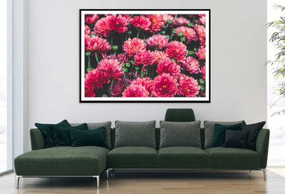 Red Chrysanthemum Flowers View Photograph Home Decor Premium Quality Poster Print Choose Your Sizes