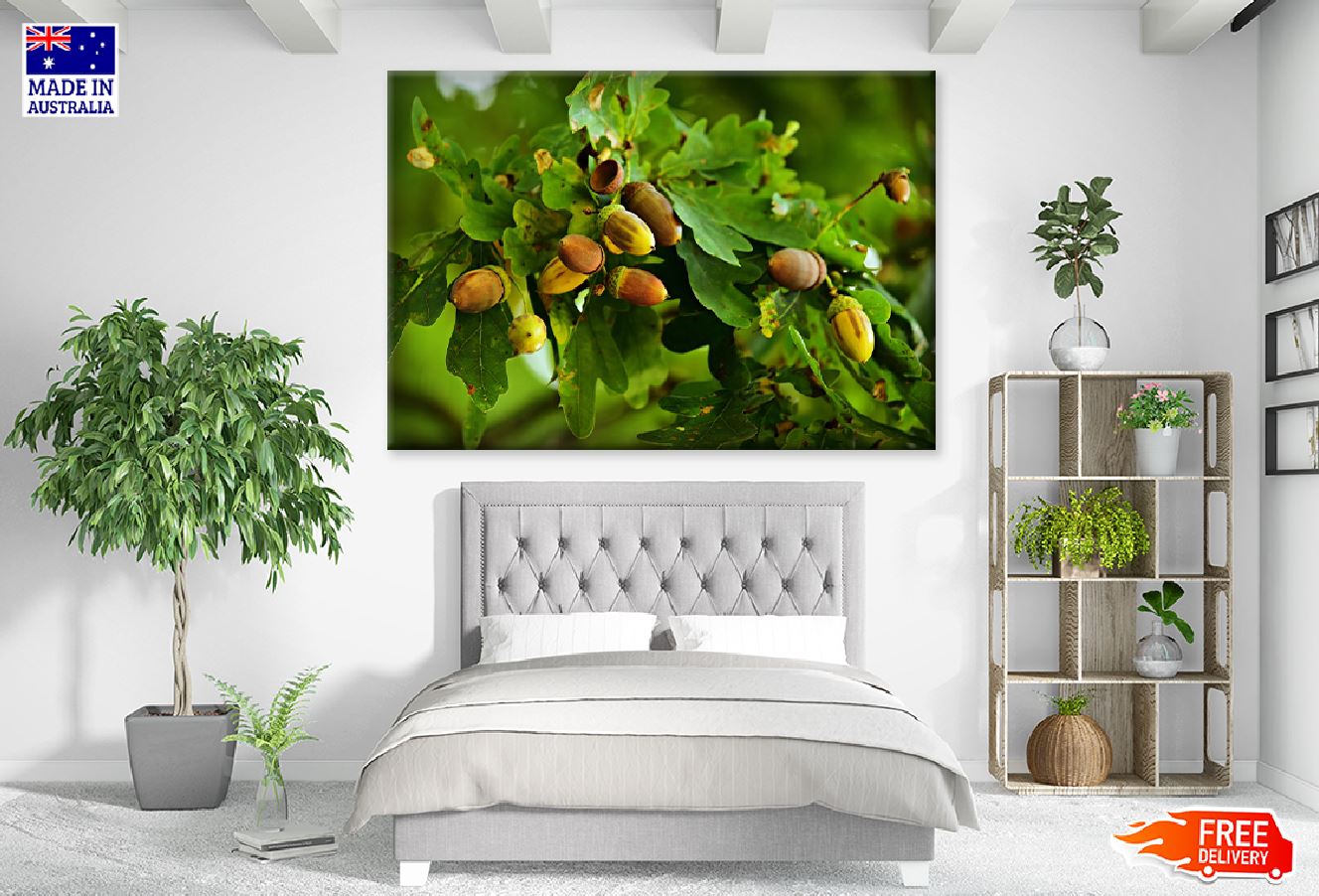 Oak Nuts on Oak Trees Photograph Print 100% Australian Made