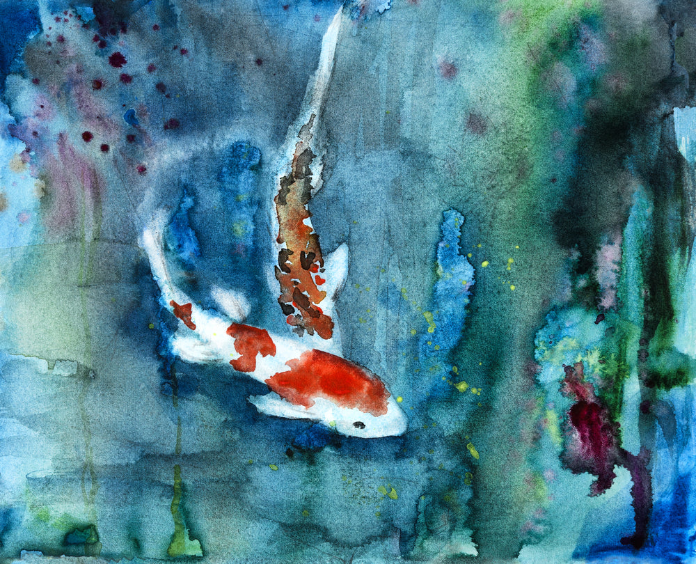 Koi Fish Watercolor Painting Print 100% Australian Made