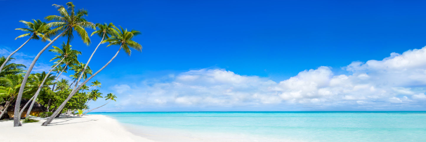 Panoramic Canvas Sunny Beach & White Sand View Photograph High Quality 100% Australian Made Wall Canvas Print Ready to Hang