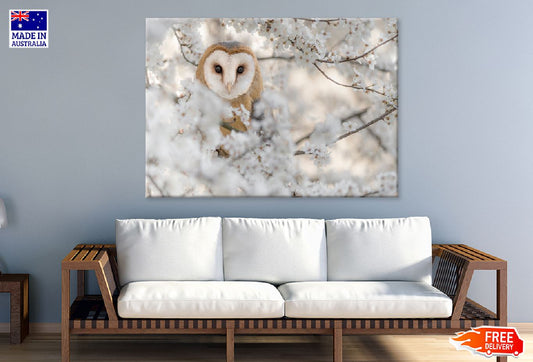 Barn Owl Wrapped by Flowers View Photograph Print 100% Australian Made