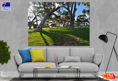 Nature Trees & Bench In Park Photograph Print 100% Australian Made