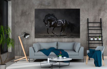 Stunning Black Horse Print 100% Australian Made