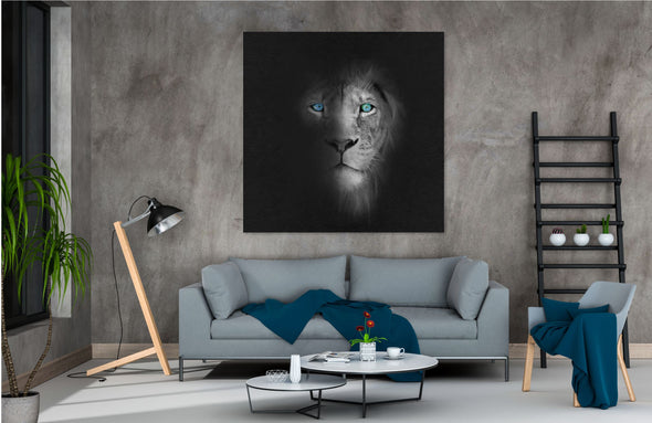 Portrait Stunning eyes Lion  Print 100% Australian Made