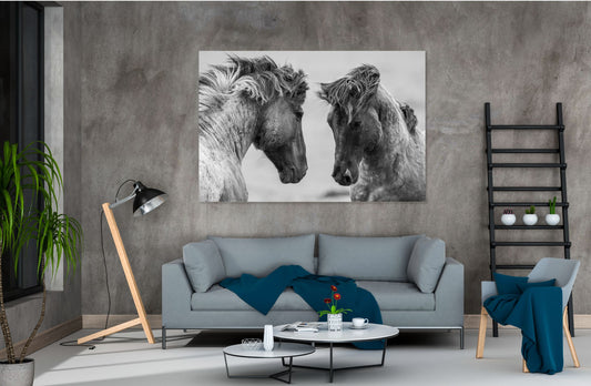 Stunning head couple Horses Print 100% Australian Made