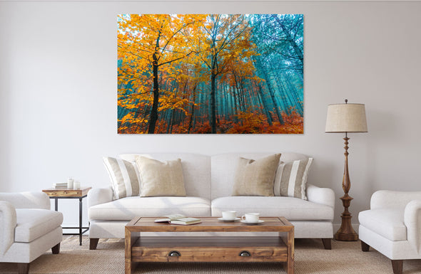 Stunning trees  nature  Print 100% Australian Made
