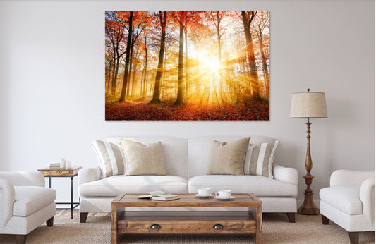 Stunning trees nature Print 100% Australian Made