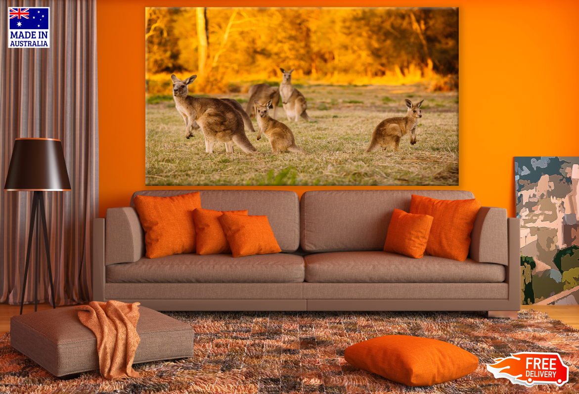 Kangaroos On a Grass Ground Photograph Print 100% Australian Made