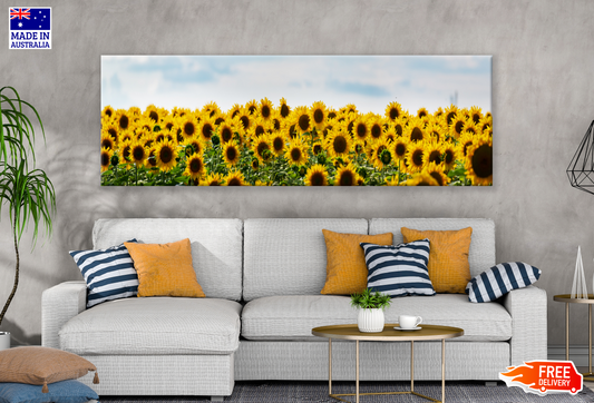 Panoramic Canvas Sun Flower Field Photograph High Quality 100% Australian made wall Canvas Print ready to hang