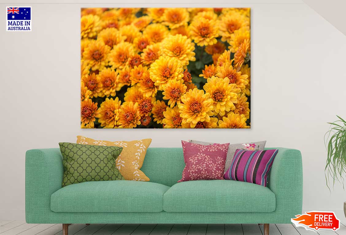 Yellow Chrysanthemum Flowers View Photograph Print 100% Australian Made