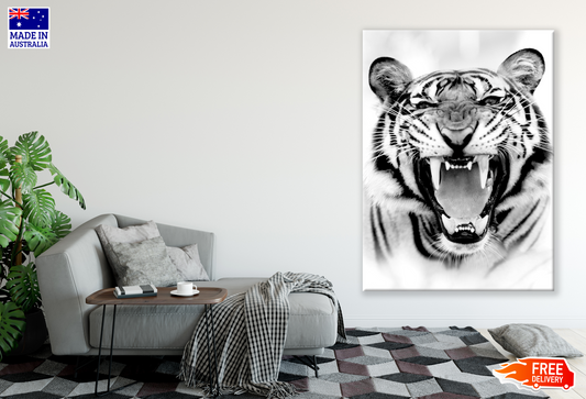 Tiger Portrait B&W Photograph Print 100% Australian Made