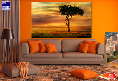 Deer Herd & Single Tree Sunset Photograph Print 100% Australian Made