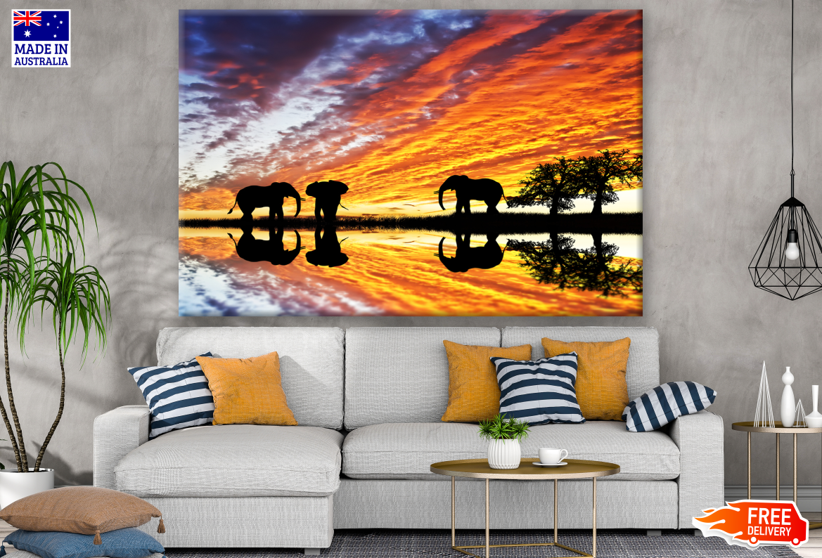 Elephants Walking on a River Bank Sunset Photograph Print 100% Australian Made