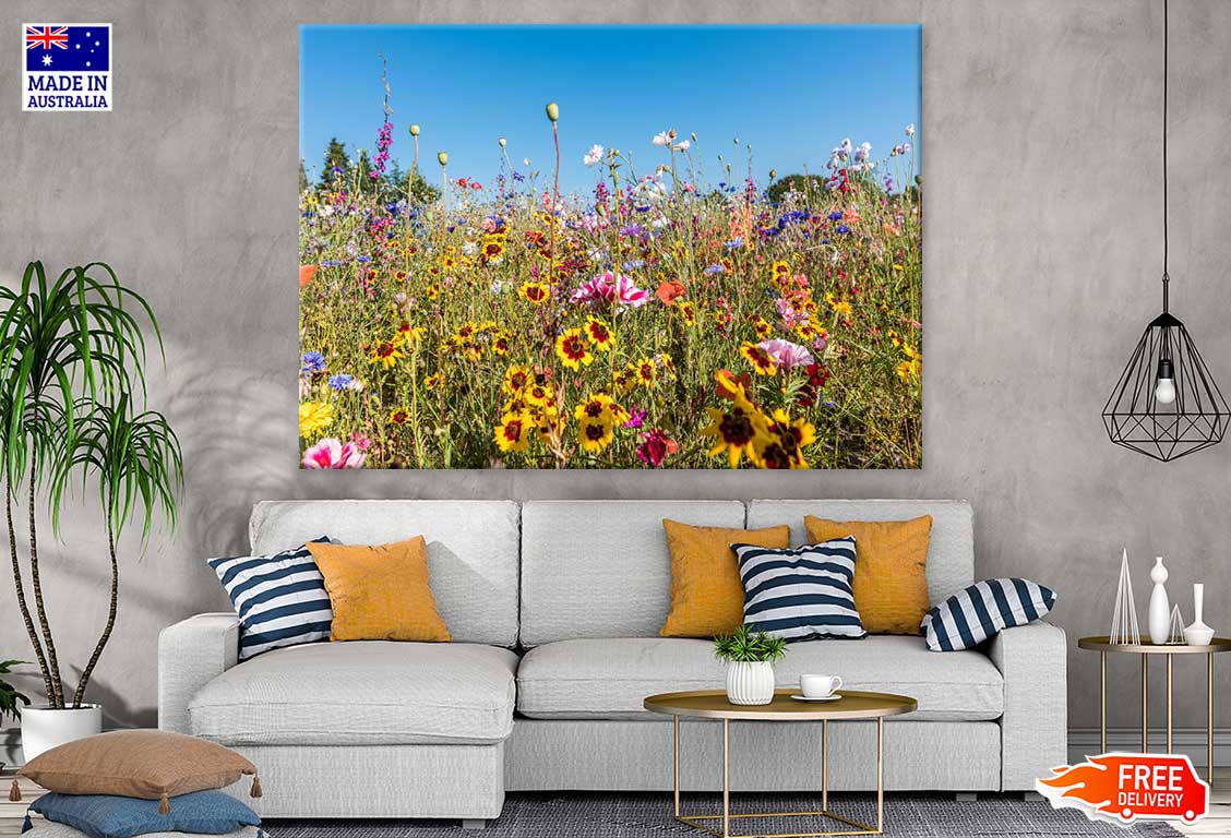 Wild Flower Field View Photograph Print 100% Australian Made