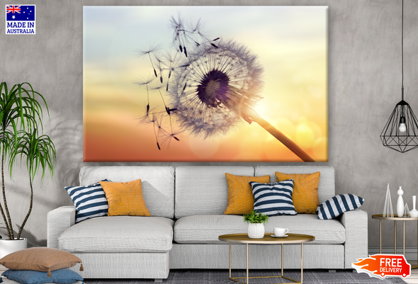 Dandelion Flower Seeds Blowing in the Wind Sunset with Photograph Print 100% Australian Made