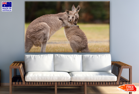 Mother and Baby Kangaroo Hug Photograph Print 100% Australian Made