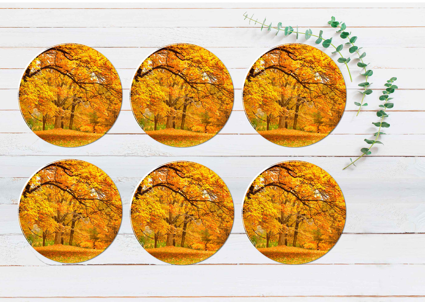 Autumn Leaves In The Forest Coasters Wood & Rubber - Set of 6 Coasters