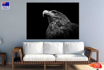 Eagle Face Closeup B&W Photograph Print 100% Australian Made