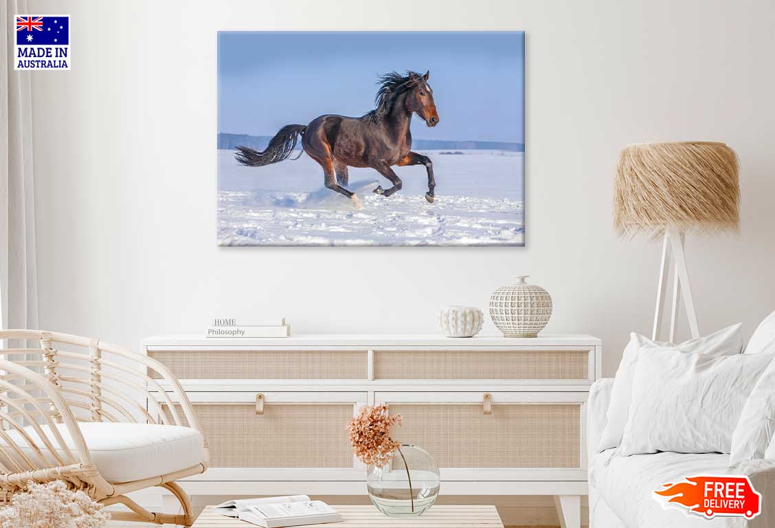 Horse Running over Snow Field View Photograph Print 100% Australian Made