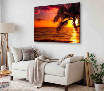 Bella Home Palms near Sea With Sunset Print Canvas Ready to hang