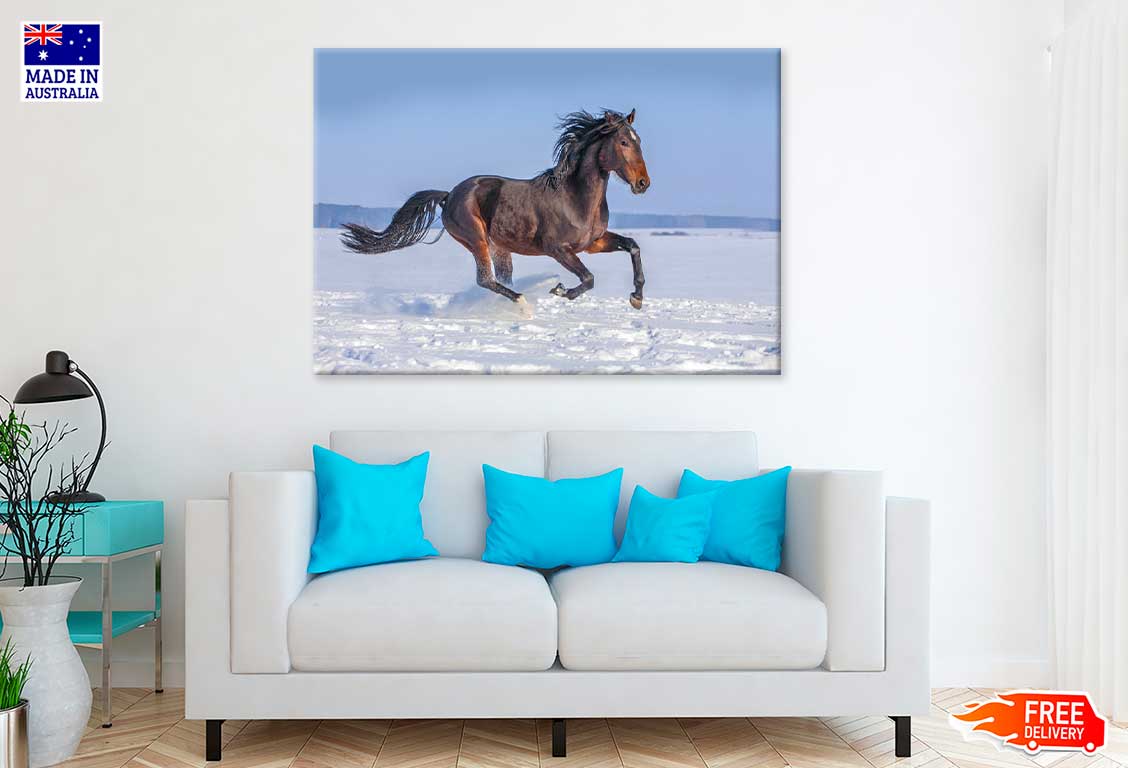 Horse Running over Snow Field View Photograph Print 100% Australian Made