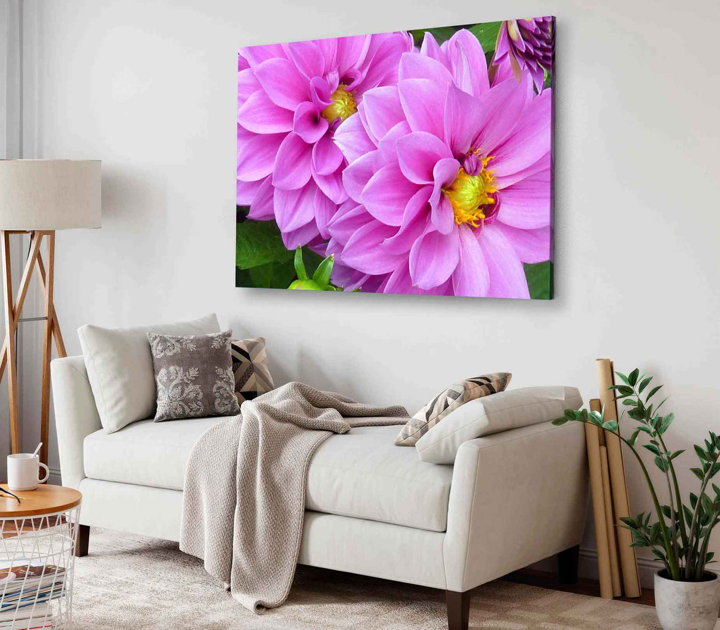 Bella Home Pink Daisy Flowers Closeup View Print Canvas Ready to hang