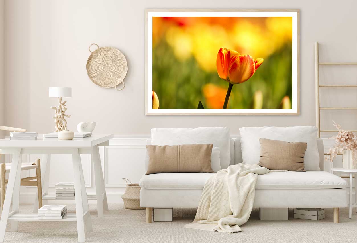 Orange Tulip Closeup Photograph Home Decor Premium Quality Poster Print Choose Your Sizes