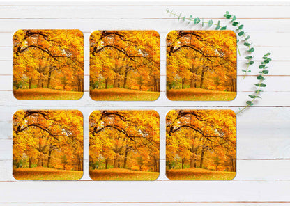 Autumn Leaves In The Forest Coasters Wood & Rubber - Set of 6 Coasters