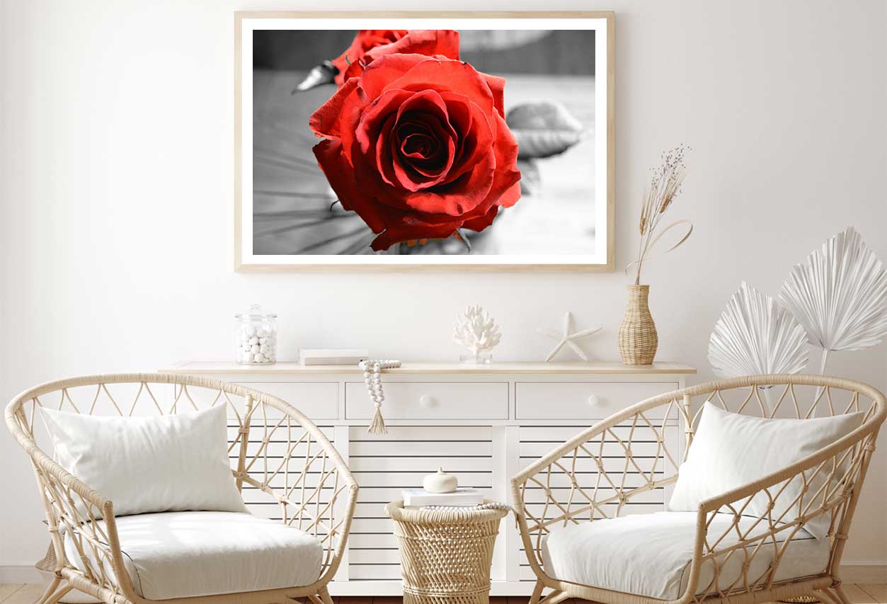 Red Rose with B&W View Photograph Home Decor Premium Quality Poster Print Choose Your Sizes