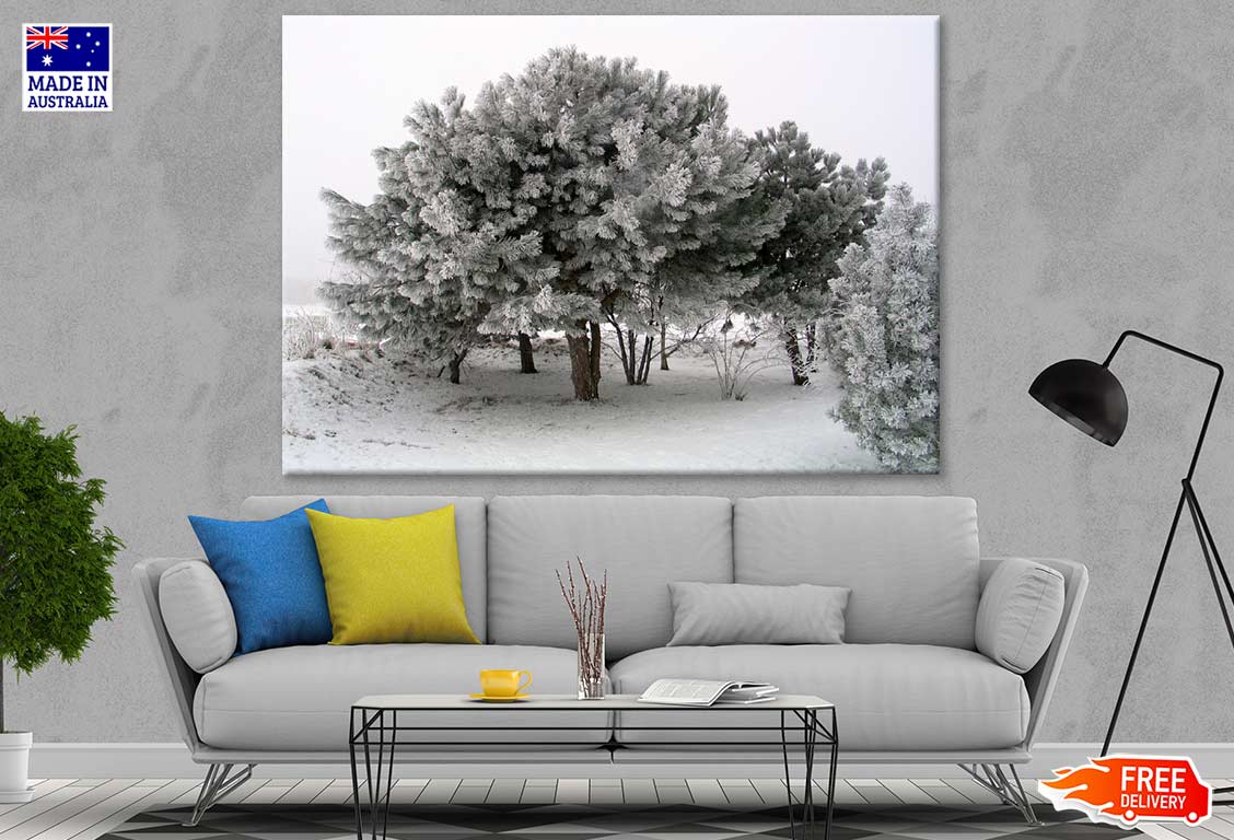 Tree Covered with Snow Photograph Print 100% Australian Made