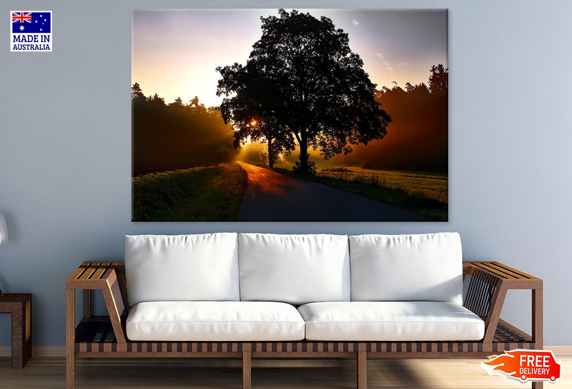 Sunrays & Road with Tree Row Photograph Print 100% Australian Made