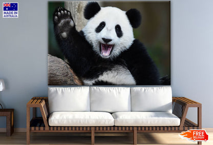 Panda Waving Photograph Print 100% Australian Made