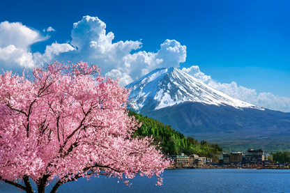 Blossom Flower Trees & Snow Covered Mountain Photograph Print 100% Australian Made