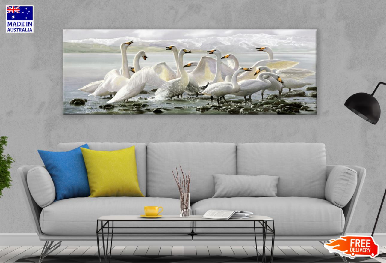 Panoramic Canvas Swans near Lake Photograph High Quality 100% Australian made wall Canvas Print ready to hang