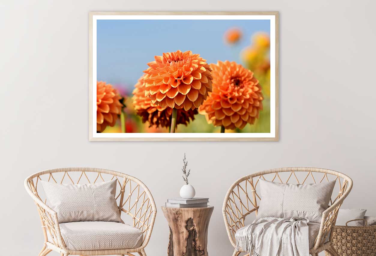 Dandelion Macro View Photograph Home Decor Premium Quality Poster Print Choose Your Sizes