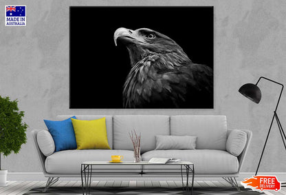 Eagle Face Closeup B&W Photograph Print 100% Australian Made