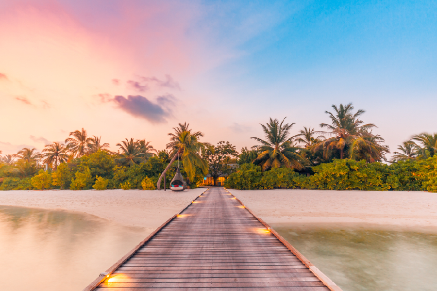 Wooden Pier & Palm Trees View Photograph Print 100% Australian Made