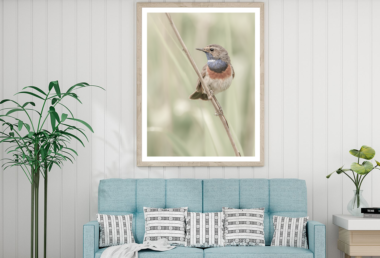 Sparrow Bird on Branch Photograph Home Decor Premium Quality Poster Print Choose Your Sizes