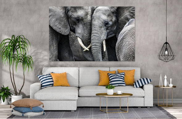 Black and White Elephants  Stunning Print 100% Australian Made
