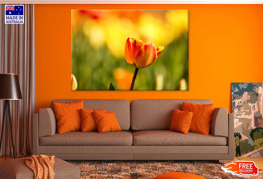 Orange Tulip Closeup View Photograph Print 100% Australian Made