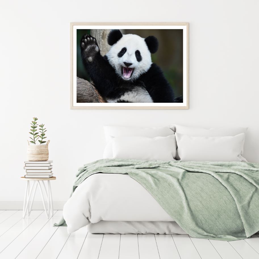 Panda Baby Closeup Photograph Home Decor Premium Quality Poster Print Choose Your Sizes