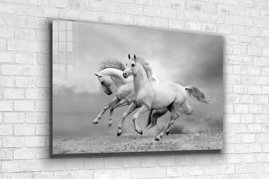 Running Horses B&W Print Tempered Glass Wall Art 100% Made in Australia Ready to Hang