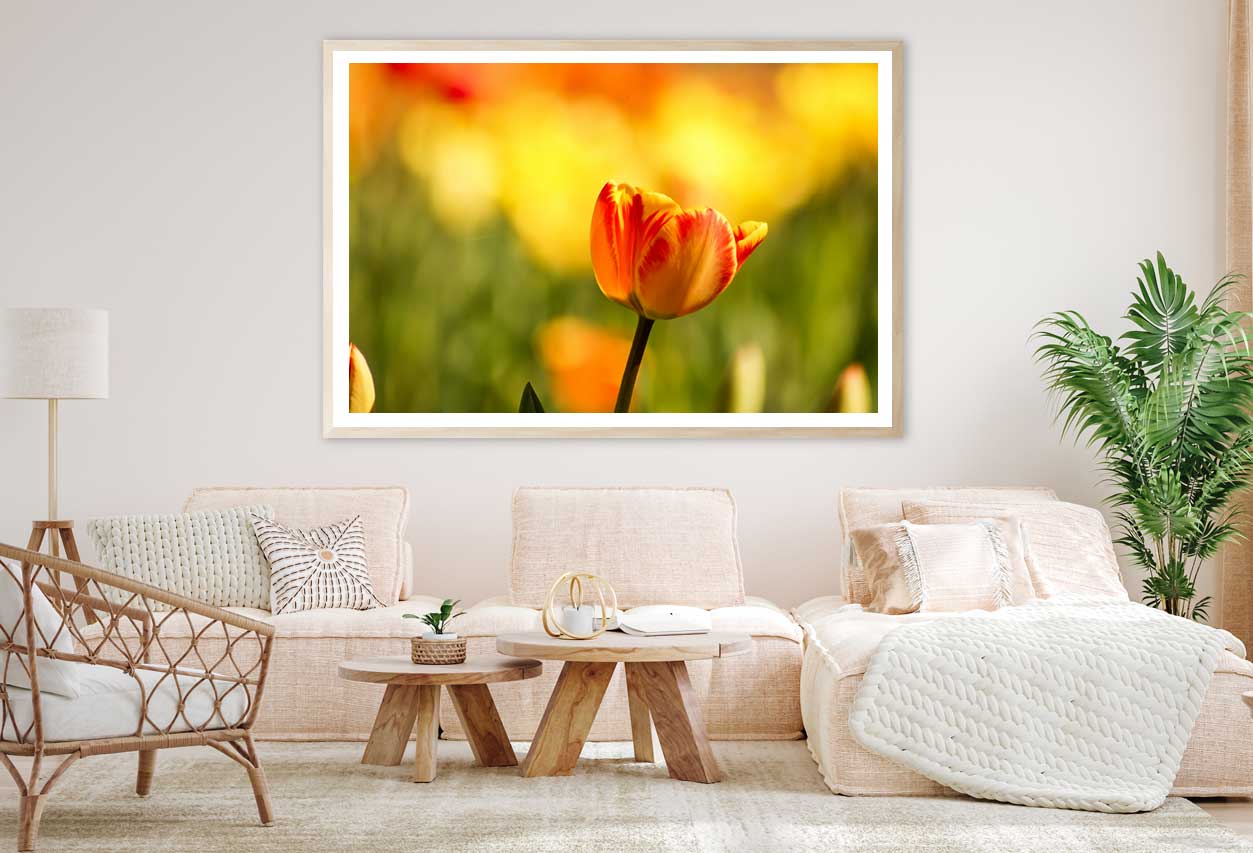 Orange Tulip Closeup Photograph Home Decor Premium Quality Poster Print Choose Your Sizes