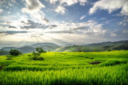 Terraced Rice Fields Mountains Photograph Print 100% Australian Made